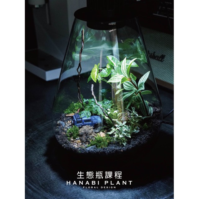 生態瓶課程-落地植生款設計 生態瓶課程-落地植生款設計